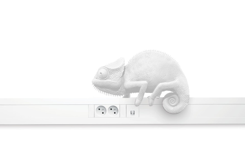 White chameleon sculpture on an electrical power strip with sockets and switches